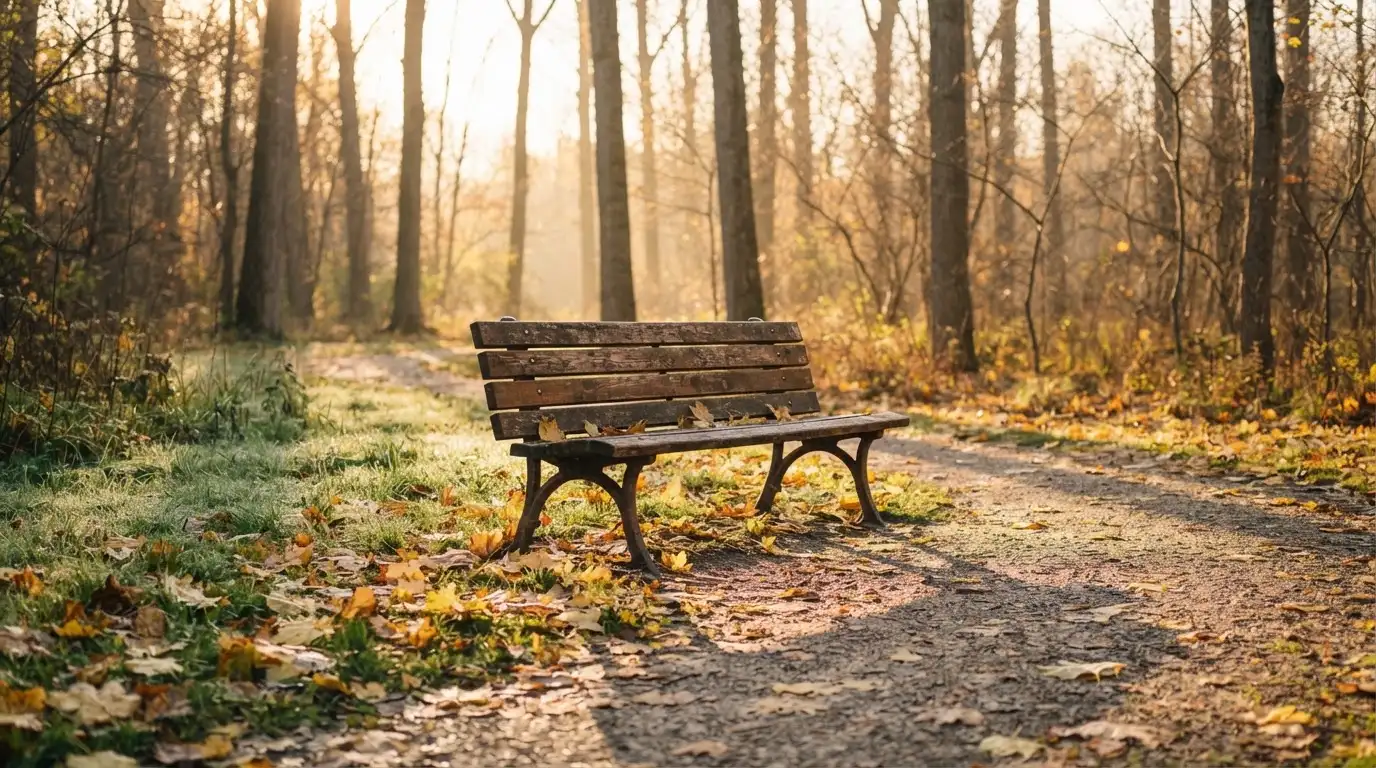 En tom parkbänk en höstmorgon, gula lönnlöv på stigen och låg sol mellan träden — svenska internet casinon